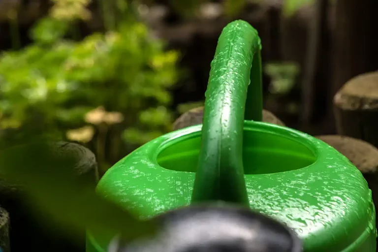 Anfrage: Nutzung von Regenwasser