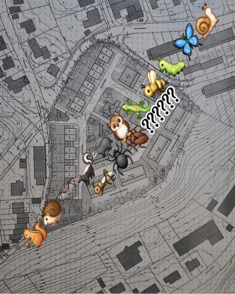 Artenschutz auf der Strecke geblieben?